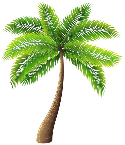 Palm Tree Clip Art Web Clipart Palm Tree Clip Art Palm Tree Drawing