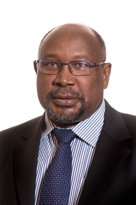 Professor James Ogude University Of Pretoria