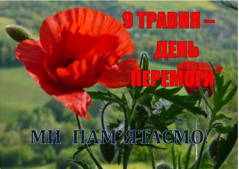 До кінця року залишається 236 днів. Уманська бібліотека-філія №6: 9 травня - День Перемоги ...