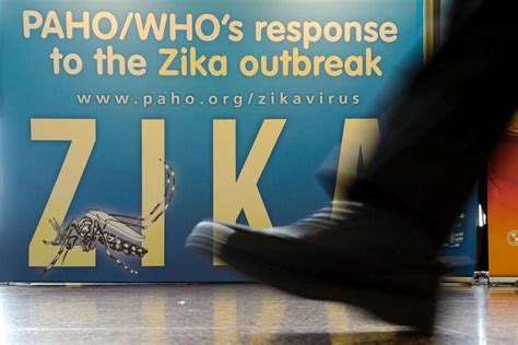 Who Advises Those Returning From Areas With Zika Virus Transmission To Practise Safe Sex For 8