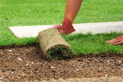 Lawn Maintenance Calgary Lawn Mowing Calgary Sod Installation Calgary