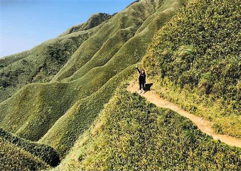 Powder of matcha (also spelled as maccha). 【2020年は山岳旅行イヤー】今一番人気の観光地「抹茶山」で台湾の山の魅力を再確認! | 台北ナビ
