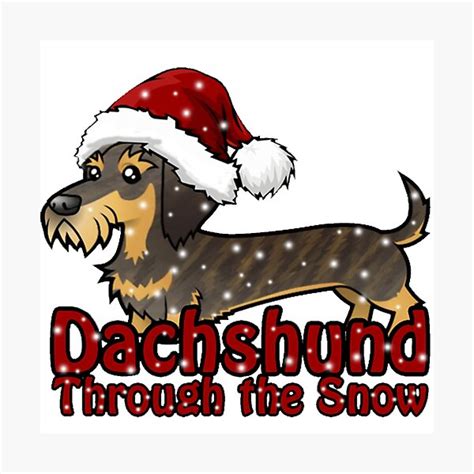Dachshund Through The Snow Photographic Print For Sale By Punkycat