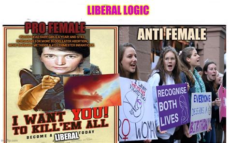 Liberal Logic Imgflip