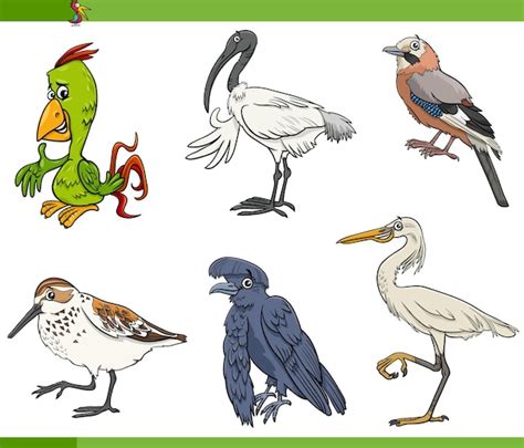 Premium Vector Cartoon Birds Species Animal Characters Set