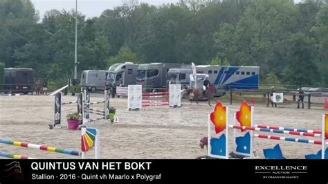 Quintus Van Het Bokt Show Youtube