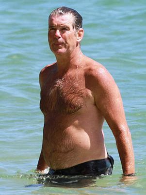 Pierce Brosnan Shirtless Sexy Pierce Brosnan Photo Fanpop