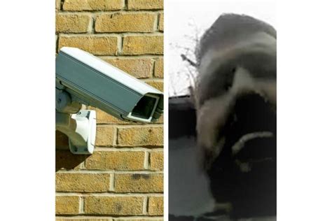 Alleged Security Camera Thief Caught On Cctv