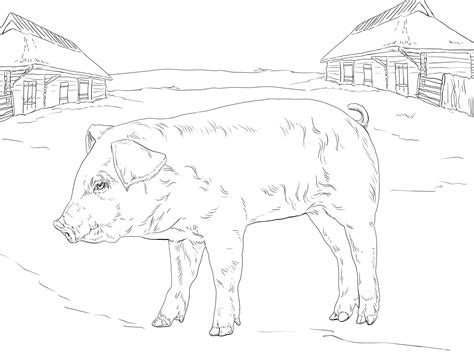 Piglet Coloring Page ColouringPages