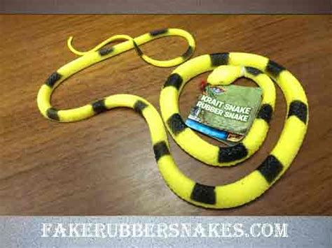 48 Inch Yellow Krait Rubber Snake