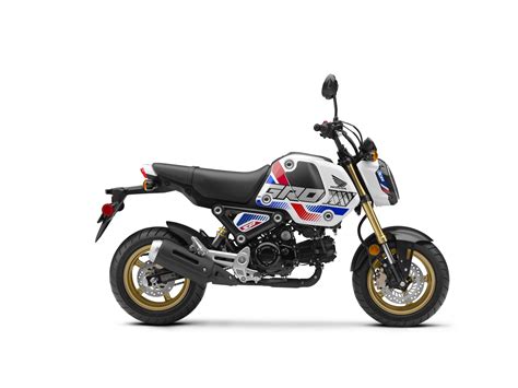Find nearest store, contact dealer and get the best price quote. 2022 Honda Grom is upgraded but costs the same $3,399 as ...