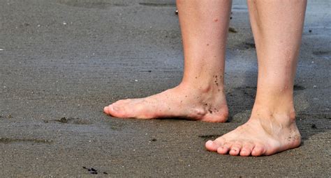 Bare Feet In The Sand Free Stock Photo Public Domain Pictures