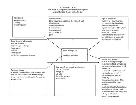 Blank Care Plan Concept Map