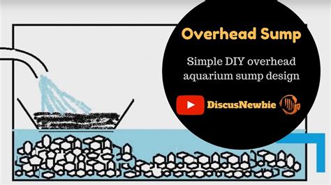Diy aquarium sump filters completed | the king of diy. DIY Aquarium Filter: Overhead Sump - YouTube