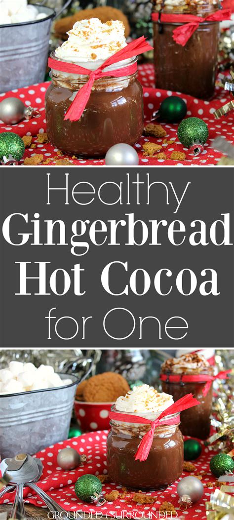 Gingerbread Hot Cocoa For One Recipe Gingerbread Hot Cocoa Healthy