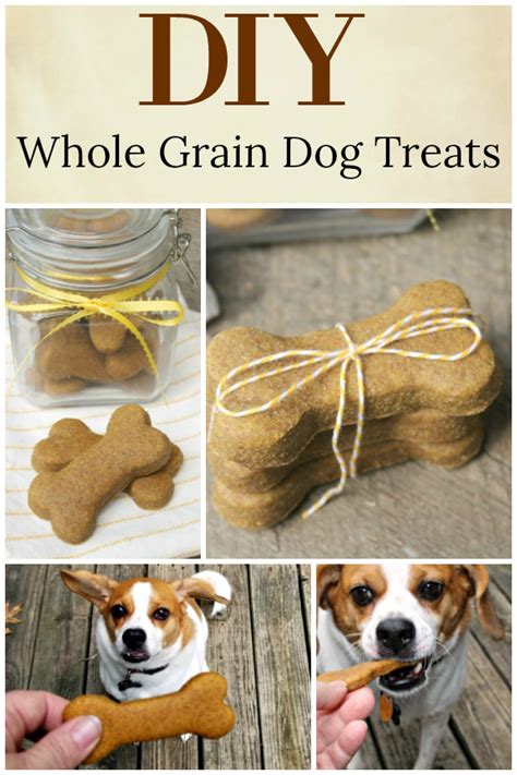 Diy Whole Grain Dog Treats Some Pets