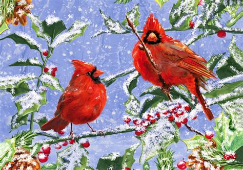 Cardinal In Snow Wallpapers Top Free Cardinal In Snow Backgrounds