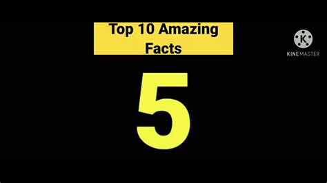 Top 10 Amazing Facts Youtube