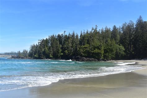 Best Walks In Ucluelet Bc Seek To Sea More Ucluelet Bc Tofino
