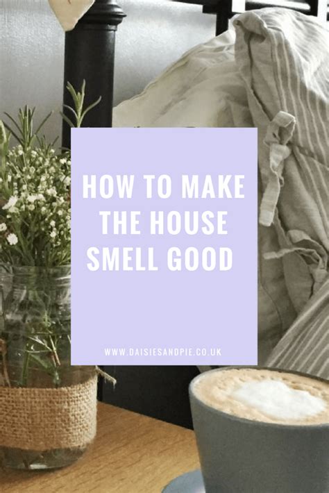 First of all, it is good for your vagina's health and keeps yourself free from various types of infections too. How to make your house smell good | House smell good ...