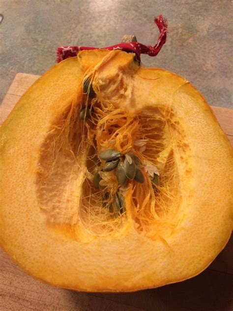 The Sex Life Of Naked Pumpkins Part Two By Helen Gabel Songaia Community