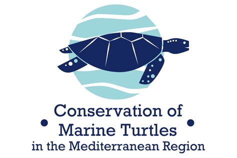 Leaflet Conservation Of Marine Turtles In The Mediterranean Region