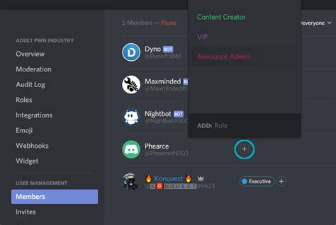 How To Make Someone Admin On Discord Phone