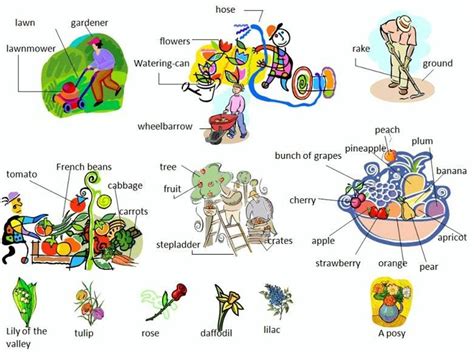 In The Garden Vocabulary Eslbuzz Learning English Vocabulary
