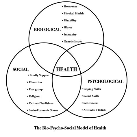 Biopsychosocial Model Of Illness The Bio The Best Porn Website