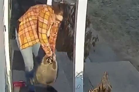 Mom Heroically Saves Daughter From Rabid Raccoon Today Breeze