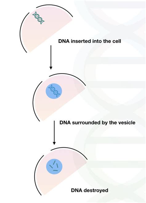 Identifying Dna And My Xxx Hot Girl