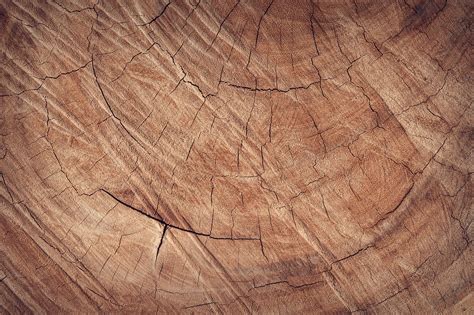 Maybe you would like to learn more about one of these? Free picture: texture, hardwood, abstract, fabric, floor, pattern, rough