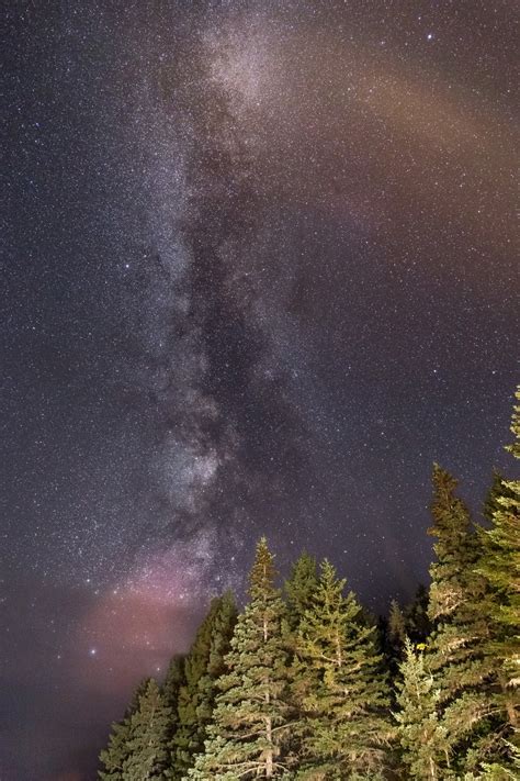 Fotos Gratis Cielo Naturaleza Noche Fenómeno Atmosférico árbol
