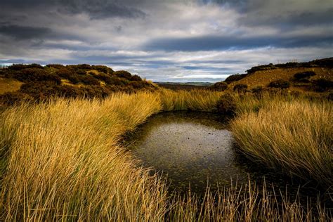 Pond Moors Nature · Free Photo On Pixabay