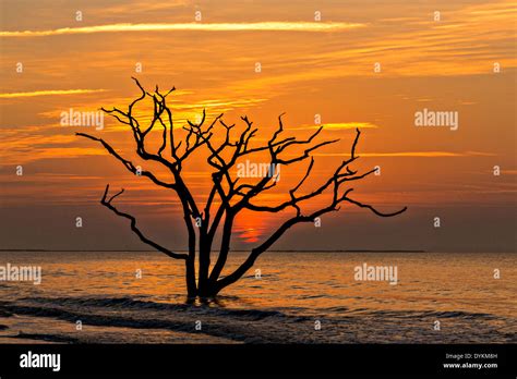 Sunrise Over Boneyard Beach At Botany Bay Edisto Island South