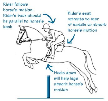 This means your legs are bent a little back to your body, and your upper body supports you this is the most famous riding position and one of the most stylish ones. The two point position (jumping position) (With images ...