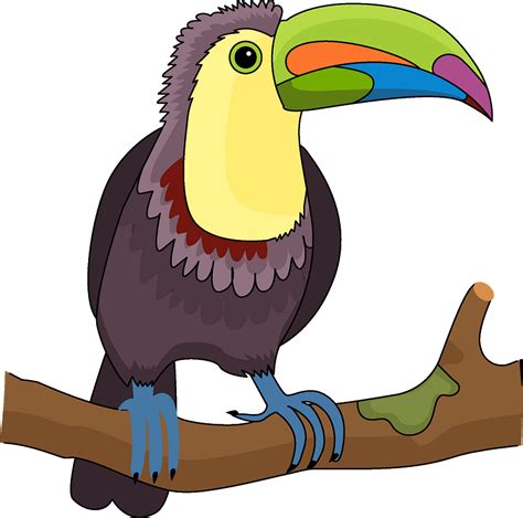 Toucan Clipart Png Toucan Png Bird Png Twitter Bird Png Bird