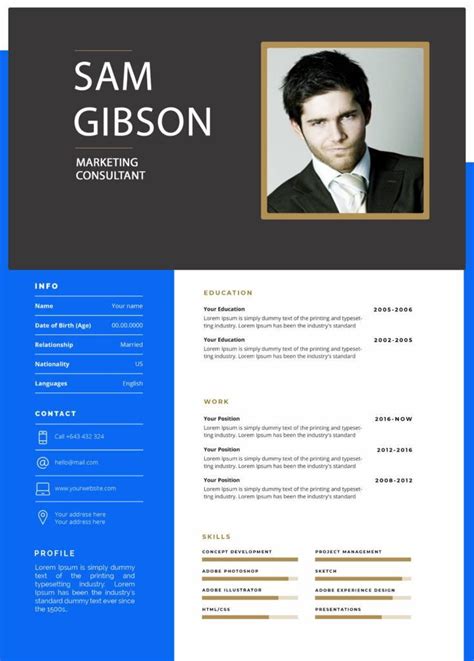 Free Professional Cv Templates Example Template Free Professional