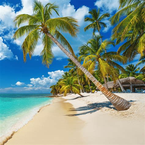 Descubra as melhores praias do Caribe para suas próximas férias Super Fácil Viajar