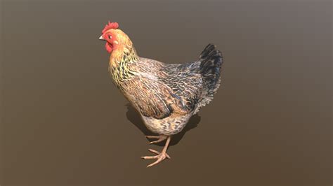 Chicken Rig Download Free 3d Model By Fourthgreen B924642 Sketchfab