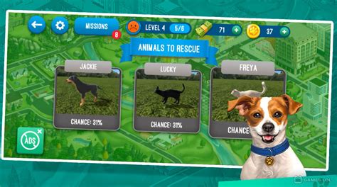 Animal Shelter Simulator Download And Play For Free Here