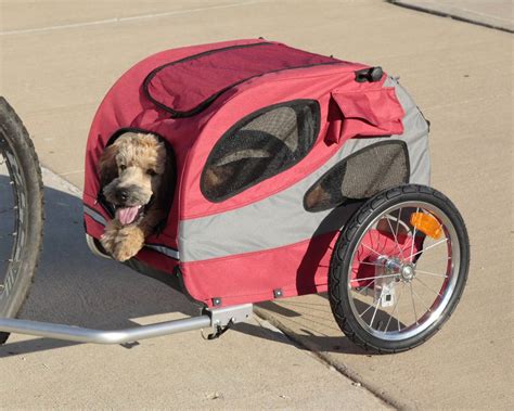 The Best Dog And Pet Bike Trailers In 2023 Pawgearlab