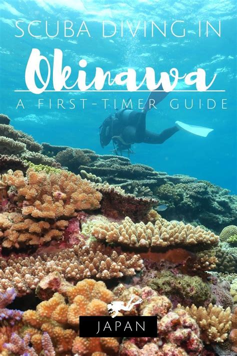 Scuba Diving In Okinawa A First Timer Guide Artofit