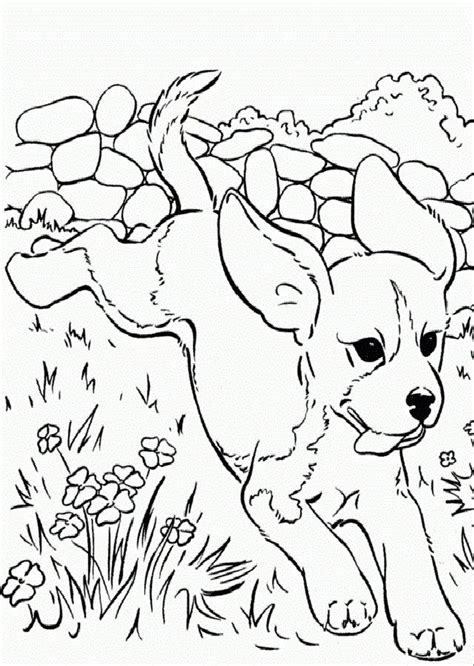 Perro Corriendo 17 Perros Para Colorear Puppy Coloring Pages Dog