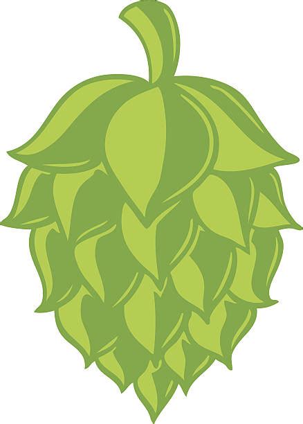 Beer Hops Clip Art 20 Free Cliparts Download Images On Clipground 2023