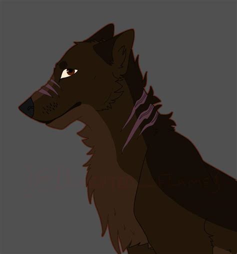 Kodiak Wiki Wolves Of The Gods Amino