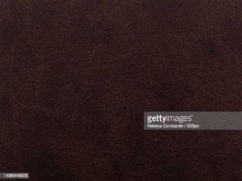 Buff Brown Photos And Premium High Res Pictures Getty Images