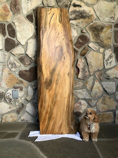 Sycamore Live Edge Slabs Up To 104l 22w Etsy