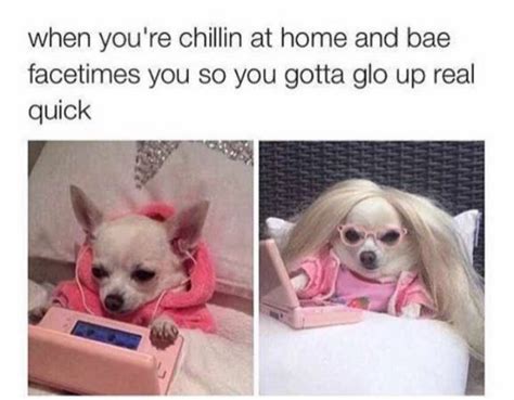 Take a seat, relax, and enjoy the funny and cute videos we've put together for you. 101 Best Funny Dog Memes to Make You Laugh All Day