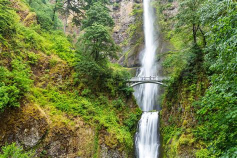 Multnomah Falls By Car Your Complete Guide Awesome Place